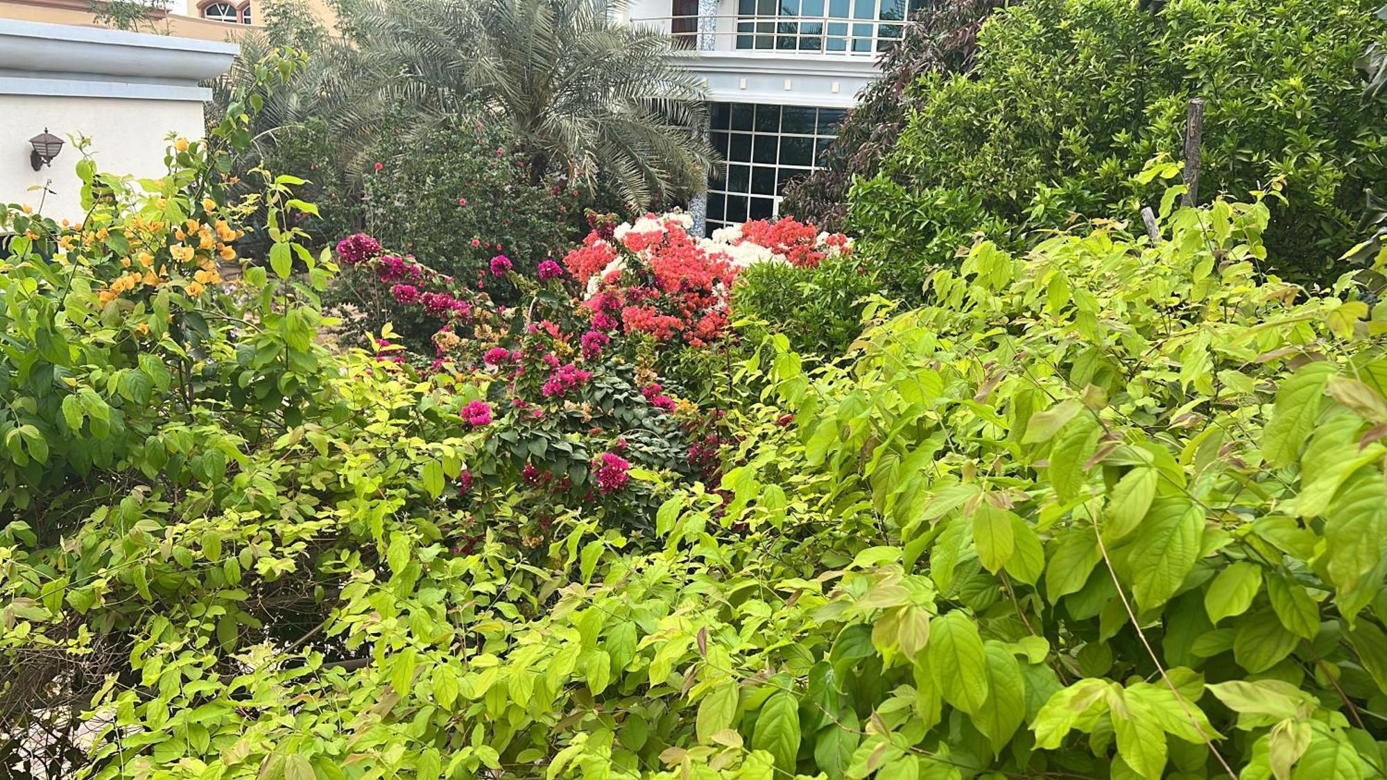Alhosani Property Αμπού Ντάμπι Εξωτερικό φωτογραφία