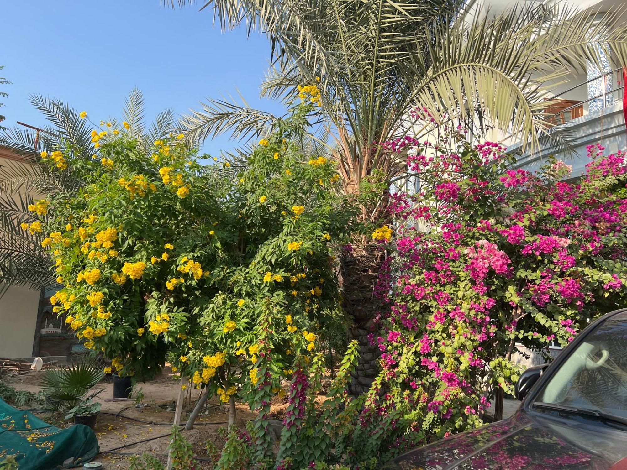 Alhosani Property Αμπού Ντάμπι Εξωτερικό φωτογραφία